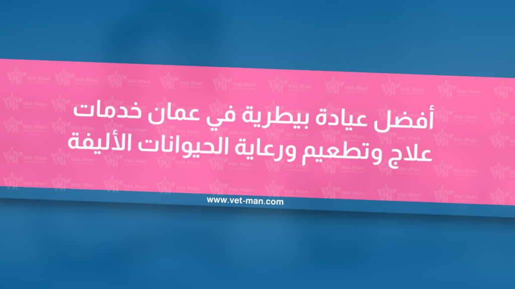 أفضل عيادة بيطرية في عمان | خدمات علاج وتطعيم ورعاية الحيوانات الأليفة
