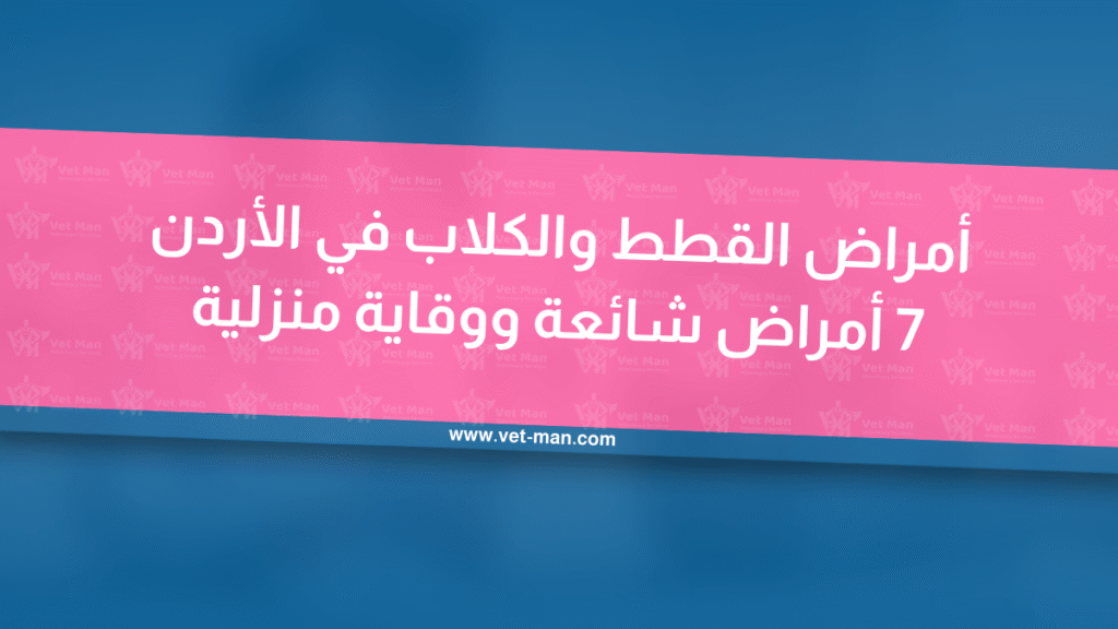 أمراض القطط والكلاب في الأردن 7 أمراض شائعة ووقاية منزلية