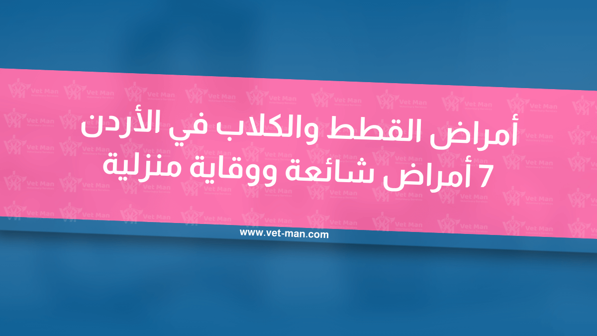 أمراض القطط والكلاب في الأردن 7 أمراض شائعة ووقاية منزلية
