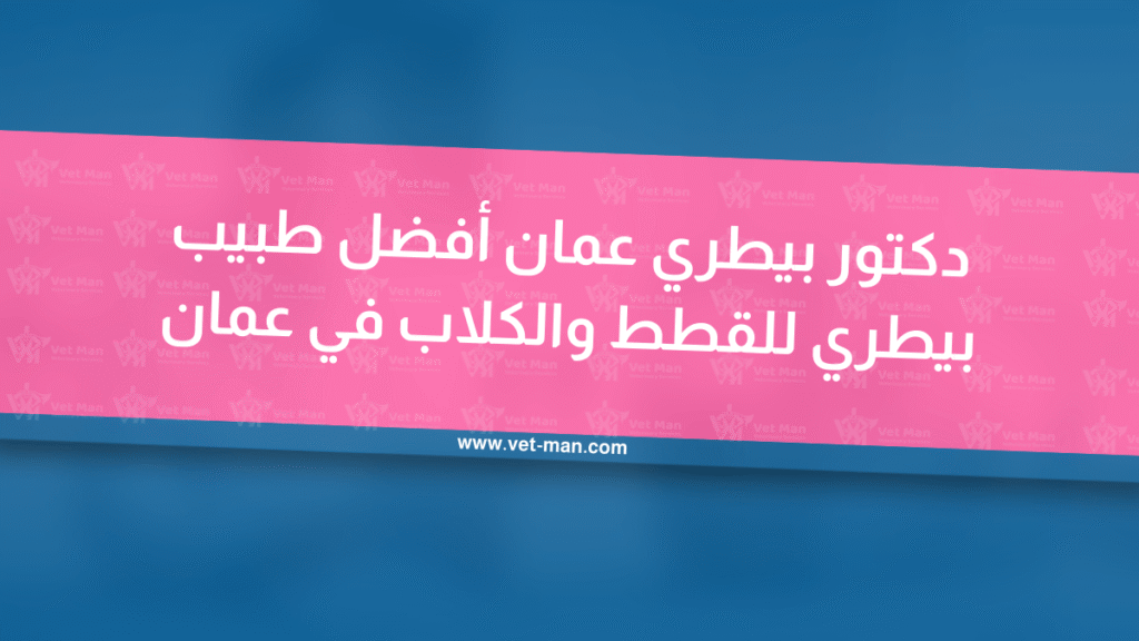 دكتور بيطري عمان | أفضل طبيب بيطري للقطط والكلاب في عمان