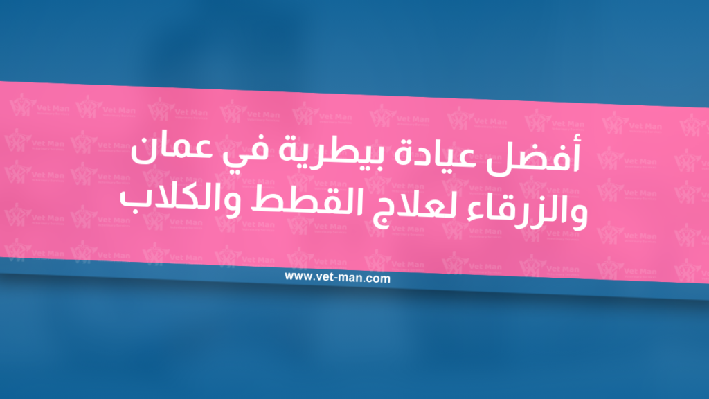 أفضل عيادة بيطرية في عمان والزرقاء لعلاج القطط والكلاب